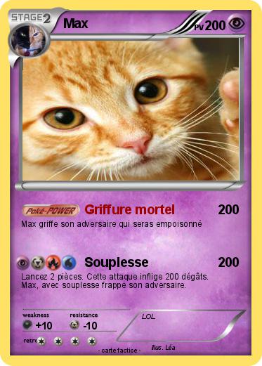 Pokemon Max