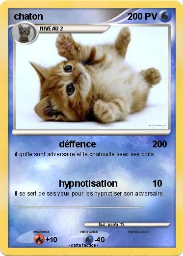Pokemon chaton