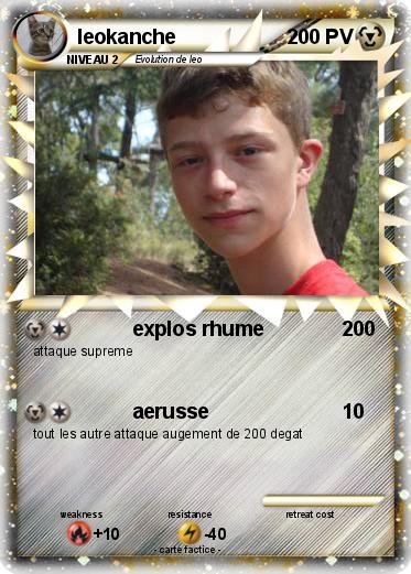 Pokemon leokanche