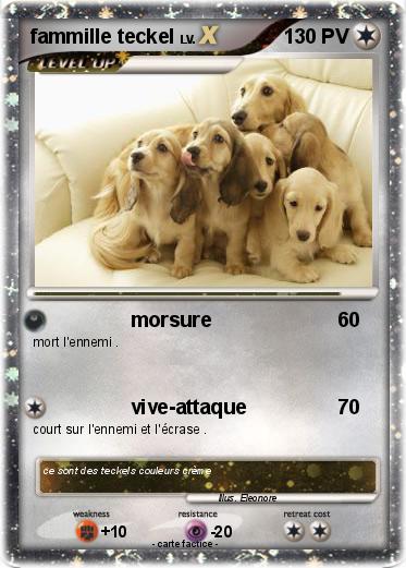 Pokemon fammille teckel