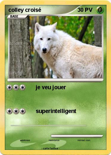 Pokemon colley croisé