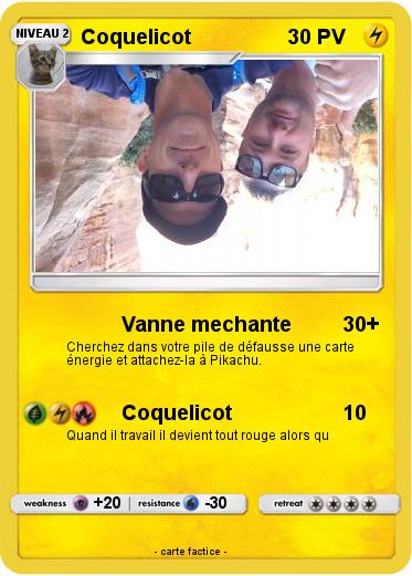 Pokemon Coquelicot