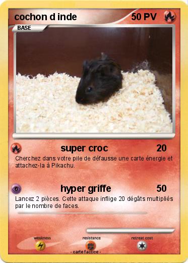 Pokemon cochon d inde