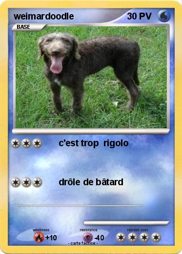 Pokemon weimardoodle