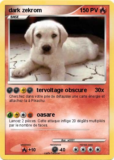 Pokemon dark zekrom