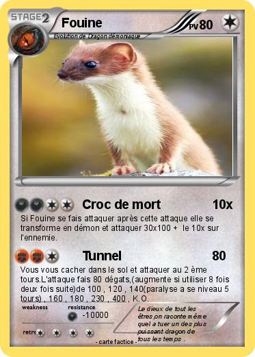 Pokemon Fouine