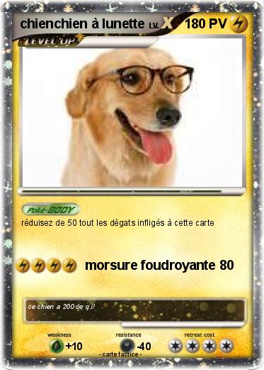 Pokemon chienchien à lunette
