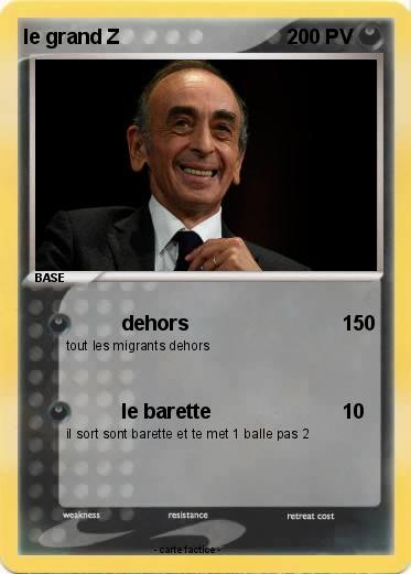 Pokemon le grand Z
