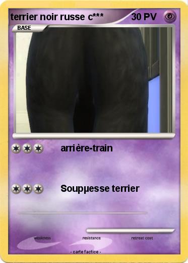 Pokemon terrier noir russe c***