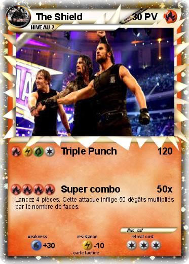 Pokemon The Shield