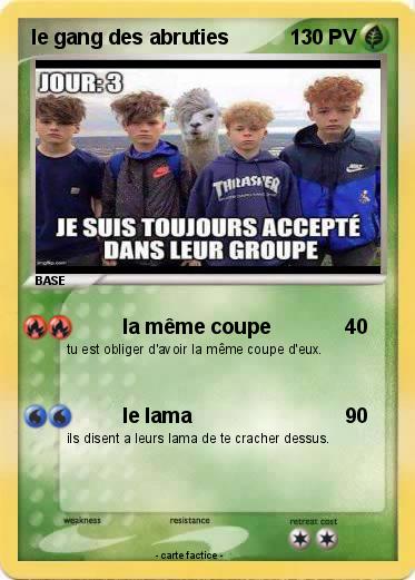 Pokemon le gang des abruties