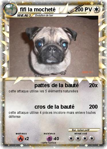 Pokemon fifi la mocheté