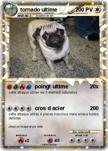 Pokemon tornado ultime