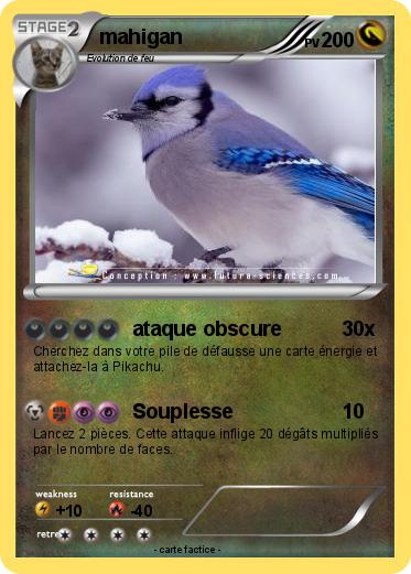 Pokemon mahigan