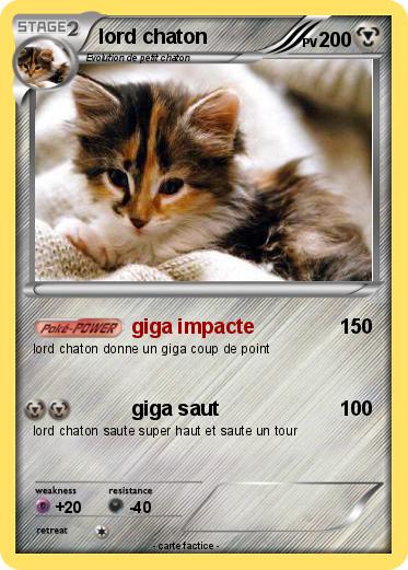 Pokemon lord chaton
