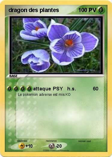 Pokemon dragon des plantes