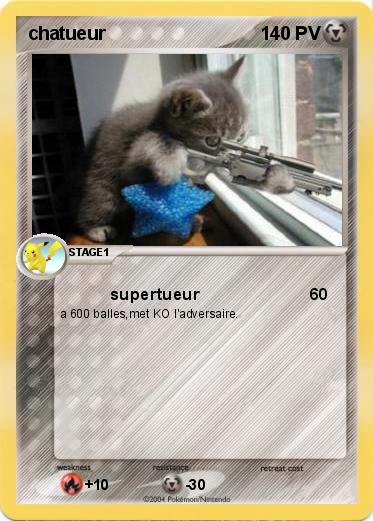 Pokemon chatueur