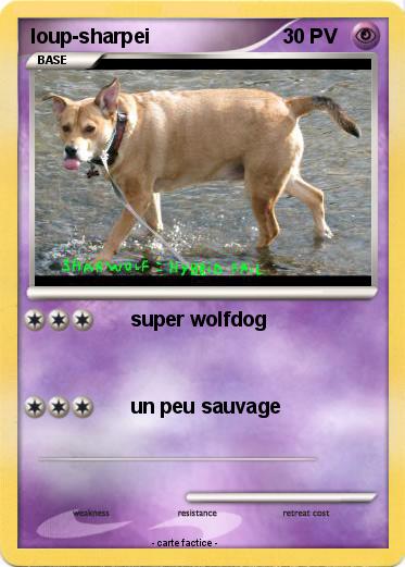 Pokemon loup-sharpei