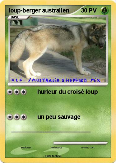 Pokemon loup-berger australien
