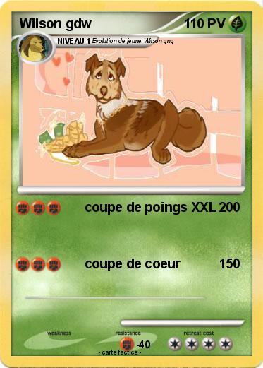 Pokemon Wilson gdw
