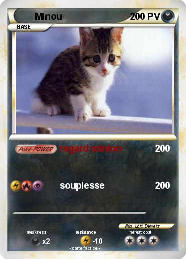 Pokemon Minou