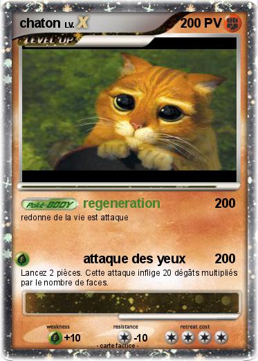 Pokemon chaton