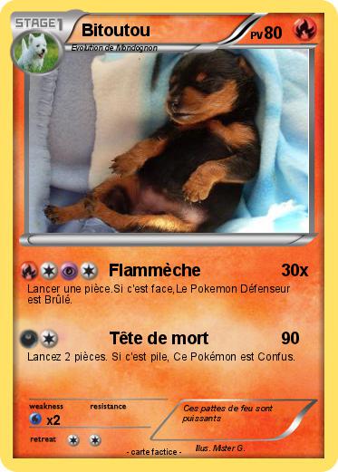 Pokemon Bitoutou