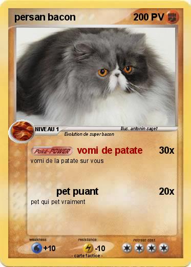 Pokemon persan bacon