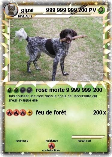 Pokemon gipsi        999 999 999