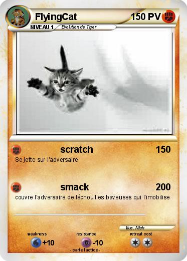 Pokemon FlyingCat