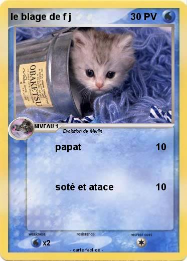 Pokemon le blage de f j