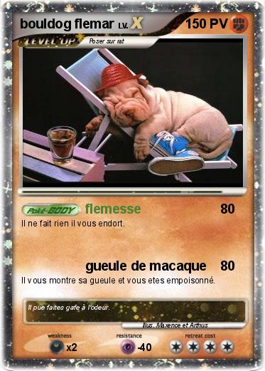 Pokemon bouldog flemar