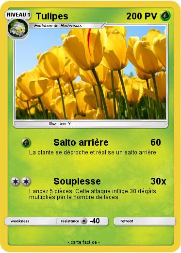 Pokemon Tulipes
