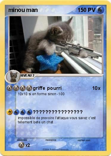 Pokemon minou man
