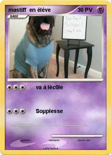 Pokemon mastiff  en éléve