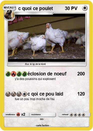 Pokemon c quoi ce poulet