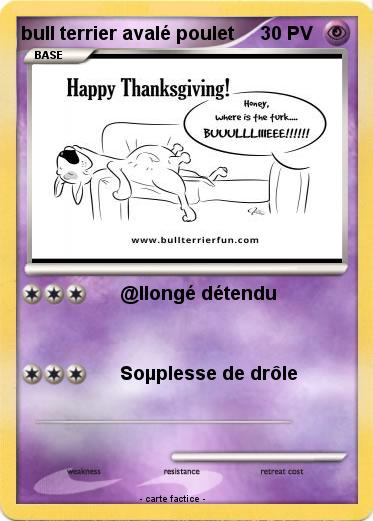 Pokemon bull terrier avalé poulet