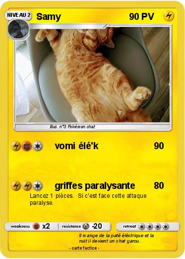 Pokemon Samy