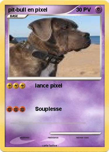 Pokemon pit-bull en pixel
