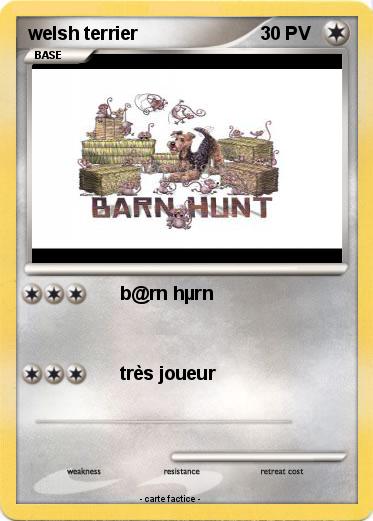 Pokemon welsh terrier