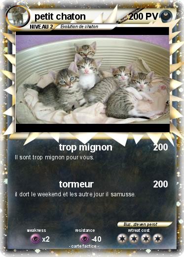 Pokemon petit chaton
