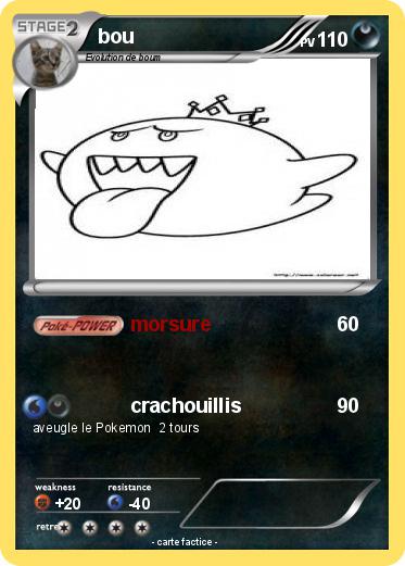 Pokemon bou