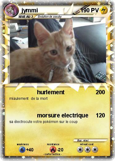 Pokemon jymmi