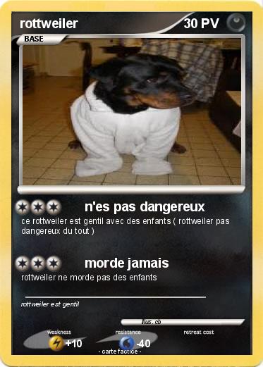 Pokemon rottweiler