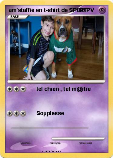 Pokemon am'staffie en t-shirt de SP0RT