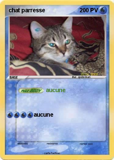 Pokemon chat parresse