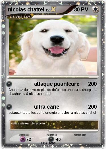 Pokemon nicolas chattel