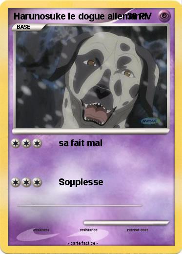 Pokemon Harunosuke le dogue allemand