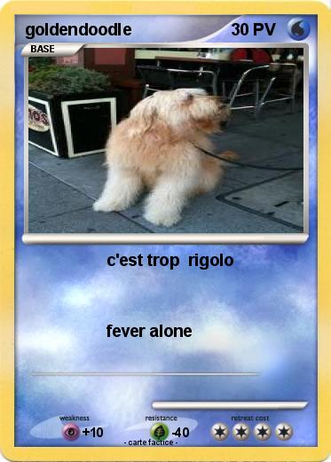 Pokemon goldendoodle