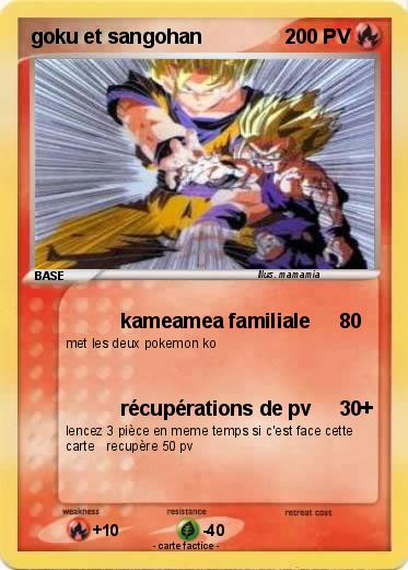 Pokemon goku et sangohan